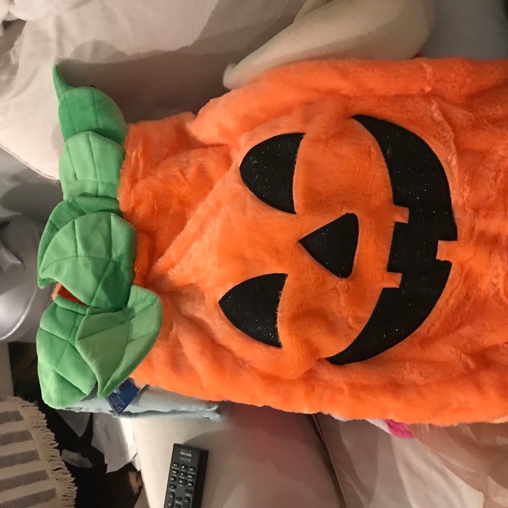 Doggie Pumpkin Costume